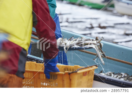 日本漁業形象 28957791