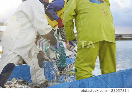 工作的漁民 28957814