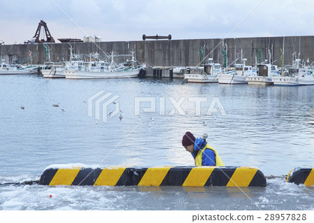 漁夫的肖像 28957828