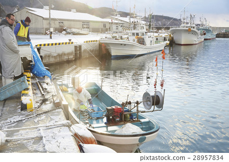 Working fishermen 28957834