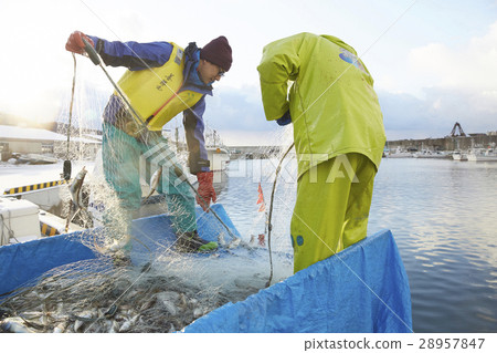 工作的漁民 工作的漁民 28957847
