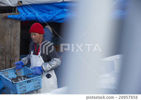 Men working in fish market 28957858