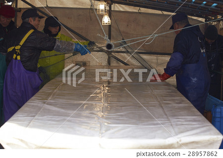 Men working in fish market 28957862