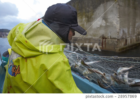 Fisherman portrait 28957869