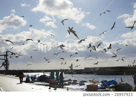 Fishing port in the day 28957913