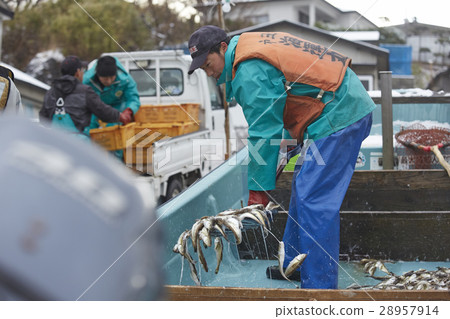 Working fishermen 28957914