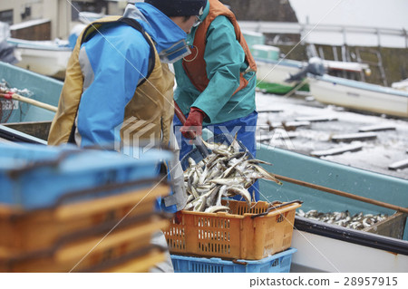 工作的漁民 28957915