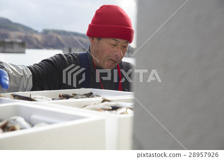 Men working in fish market 28957926