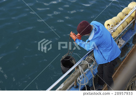 漁夫的肖像 28957933