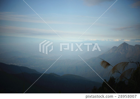 山景 28958007