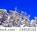 Yatsugatake的冰 - 冰和藍天 28958108