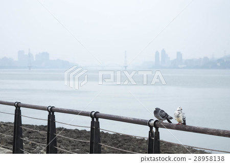 迷霧中的淡水 28958138