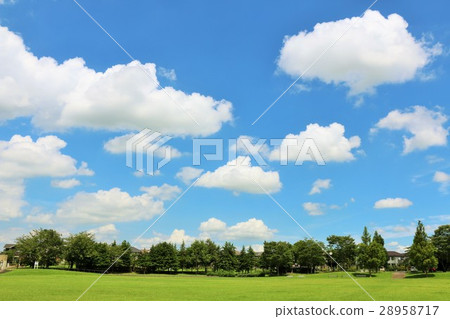Blue sky of the summer and the park of the city 28958717