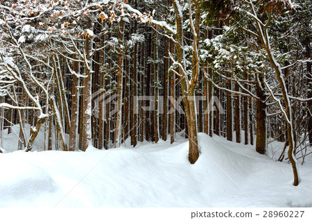 瀑布Fushin攤位周圍的看法 28960227