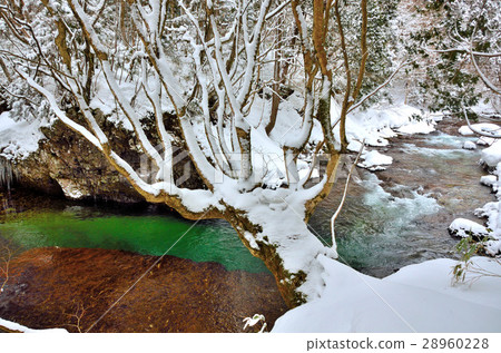 Surrounding view of Fushin stall of waterfall 28960228