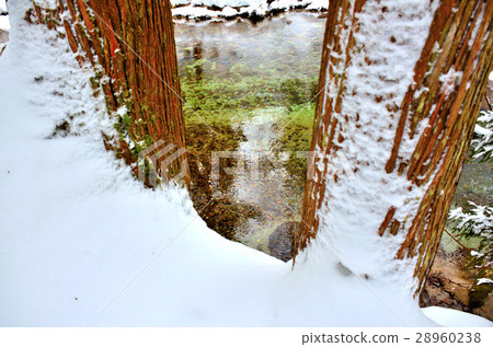 瀑布Fushin攤位周圍的看法 28960238