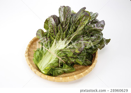 Mamba stack of bamboo grass 28960629