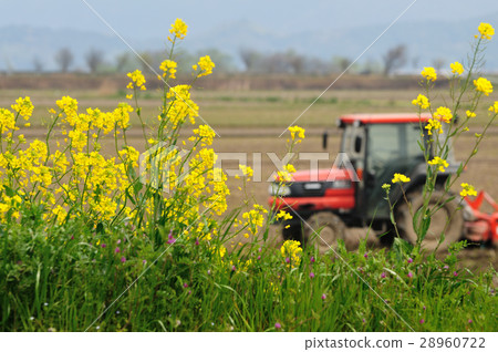Tractor 28960722