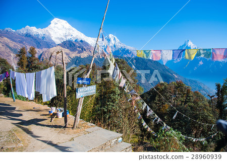 hilltop of snow mountain view  28960939