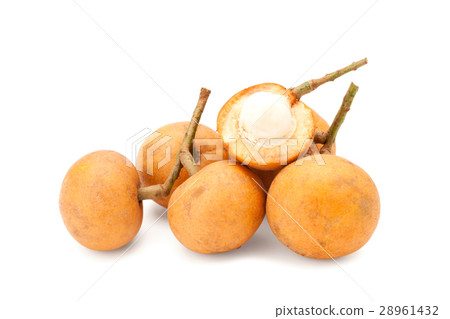 Baccaurea macrocarpa fruit Baccaurea macrocarpa fruit 28961432