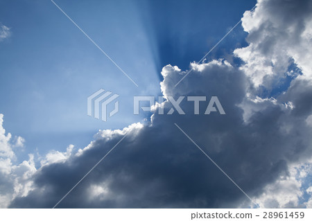 Rays of light Rays of light 28961459