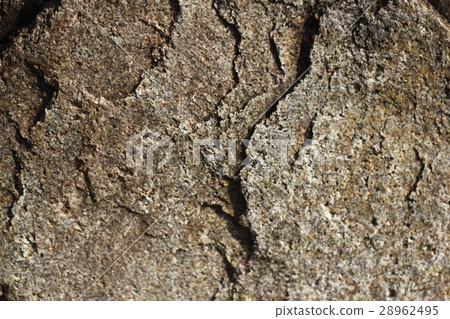 Rough rough skin 28962495