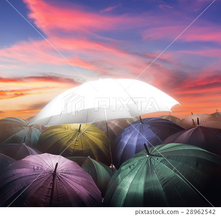 umbrella lights glowing standing out from  28962542