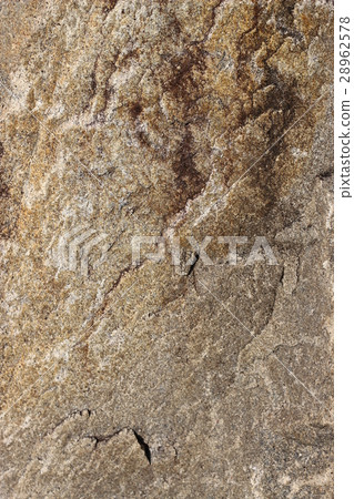 Rough rough skin Rough rough skin 28962578