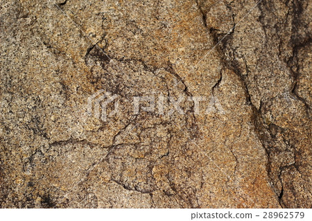 Rough rough skin 28962579