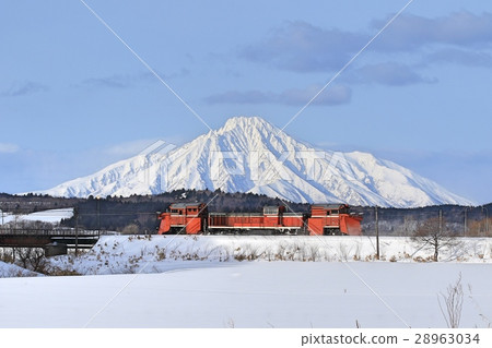 大豆羅素 28963034