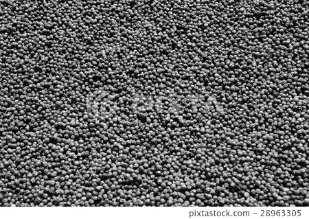black pepper 28963305