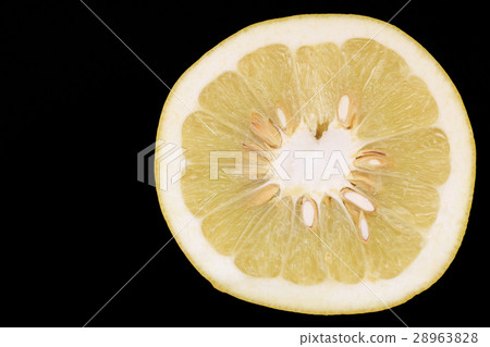 渡邊橫斷面背景 28963828