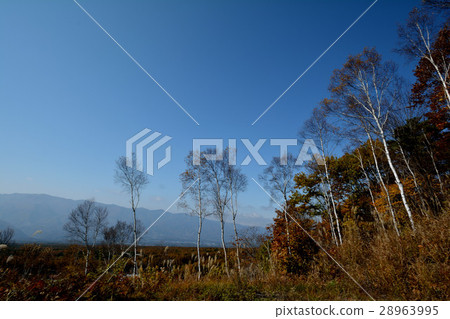 我去了富士見高原#31 我去了富士見高原#31 28963995