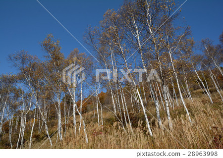 我去了富士見高原＃34 28963998