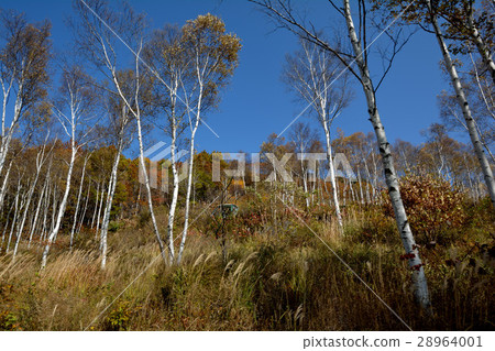 I went to Fujimi Plateau # 37 28964001