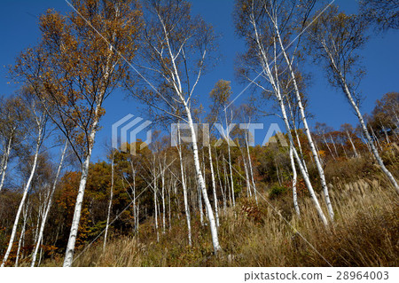 I went to Fujimi Plateau # 39 28964003