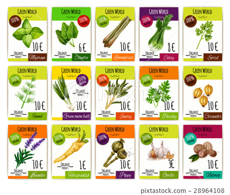 Spice and herbs vegetables price tags vector set 28964108