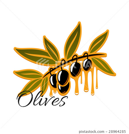 Black olives branch vector icon 28964285