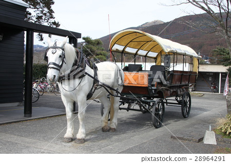Yufuin tourism Tsuji horse-drawn carriage Yufuin tourism Tsuji horse-drawn carriage 28964291