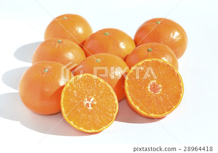 Mandarin orange (Hamasaki) 28964418