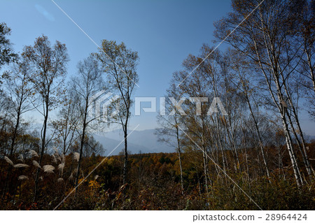 I went to Fujimi Plateau # 41 I went to Fujimi Plateau # 41 28964424