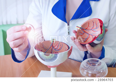 Ophthalmology oculus sample closeup 28964703