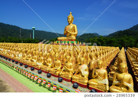Many golden buddha statues Many golden buddha statues 28965339