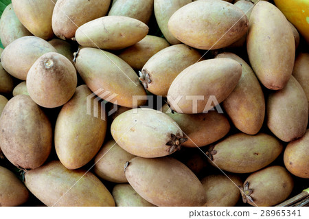 Sapodilla Sapodilla 28965341