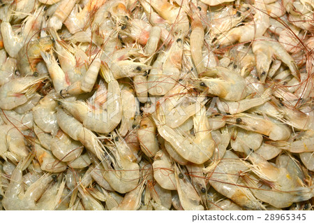 Fresh shrimps Fresh shrimps 28965345