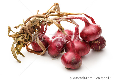 Fresh red onion 28965618
