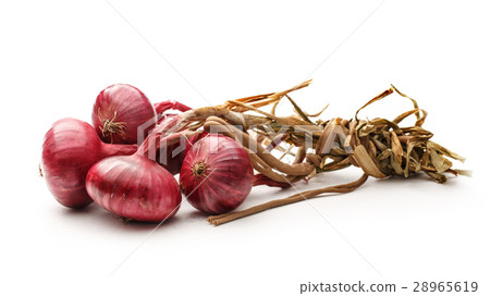 Fresh red onion Fresh red onion 28965619