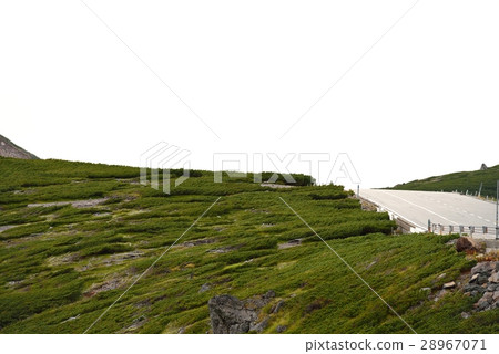 Norikura Skyline秋天 28967071