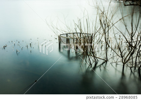 在Yogo湖的長時間曝光（滋賀縣景觀）叫鏡湖 28968085