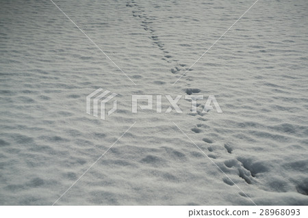 下雪的地面 28968093